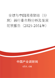 全球與中國液液聚結（分離）器行業(yè)市場分析及發(fā)展前景報告（2025-2031年）