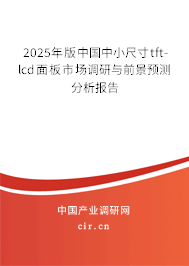 2025年版中國中小尺寸tft-lcd面板市場調(diào)研與前景預(yù)測分析報告