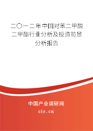 二〇一二年中國對苯二甲酸二甲酯行業(yè)分析及投資前景分析報告