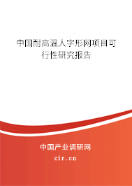 中國耐高溫人字形網項目可行性研究報告