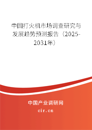 中國(guó)打火機(jī)市場(chǎng)調(diào)查研究與發(fā)展趨勢(shì)預(yù)測(cè)報(bào)告（2025-2031年）