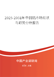 2025-2031年中國鋯市場現(xiàn)狀與趨勢分析報告