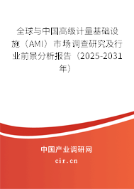 全球與中國高級計量基礎(chǔ)設(shè)施（AMI）市場調(diào)查研究及行業(yè)前景分析報告（2025-2031年）