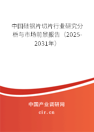 中國(guó)硅鋼片切片行業(yè)研究分析與市場(chǎng)前景報(bào)告（2025-2031年）