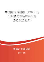 中國聚丙烯酰胺（PAM）行業(yè)現(xiàn)狀與市場前景報告（2025-2031年）
