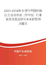 2025-2031年全球與中國輪胎壓力監(jiān)測系統(tǒng)（TPMS）行業(yè)發(fā)展深度調(diào)研與未來趨勢預(yù)測報(bào)告