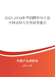 2025-2031年中國(guó)模塊化頭盔市場(chǎng)調(diào)研與前景趨勢(shì)報(bào)告