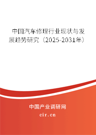 中國汽車修理行業(yè)現(xiàn)狀與發(fā)展趨勢研究（2025-2031年）