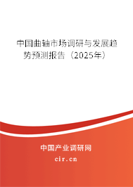 中國(guó)曲軸市場(chǎng)調(diào)研與發(fā)展趨勢(shì)預(yù)測(cè)報(bào)告（2025年）