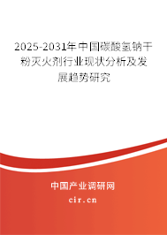 2025-2031年中國(guó)碳酸氫鈉干粉滅火劑行業(yè)現(xiàn)狀分析及發(fā)展趨勢(shì)研究