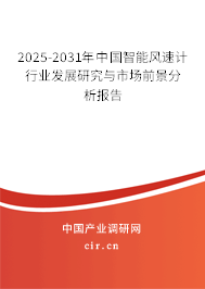 2025-2031年中國(guó)智能風(fēng)速計(jì)行業(yè)發(fā)展研究與市場(chǎng)前景分析報(bào)告