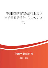 中國智能轉(zhuǎn)向系統(tǒng)行業(yè)現(xiàn)狀與前景趨勢報告（2024-2030年）