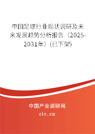 中國足球行業(yè)現(xiàn)狀調(diào)研及未來發(fā)展趨勢分析報告（2025-2031年）(已下架)