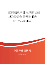 中國(guó)照相機(jī)產(chǎn)業(yè)市場(chǎng)現(xiàn)狀剖析及投資前景預(yù)測(cè)報(bào)告（2025-2031年）