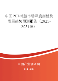 中國(guó)PET樹(shù)脂市場(chǎng)深度剖析及發(fā)展趨勢(shì)預(yù)測(cè)報(bào)告（2025-2031年）