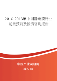 2010-2013年中國靜電膜行業(yè)前景預(yù)測及投資咨詢報(bào)告 2010-2013年中國靜電膜行業(yè)前景預(yù)測及投資咨詢報(bào)告