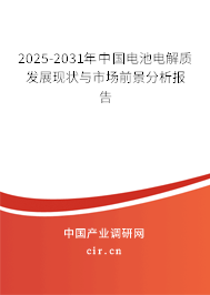 2025-2031年中國(guó)電池電解質(zhì)發(fā)展現(xiàn)狀與市場(chǎng)前景分析報(bào)告
