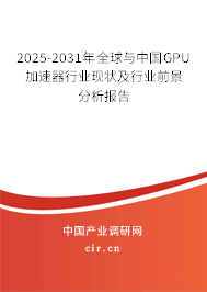 2025-2031年全球與中國GPU加速器行業(yè)現(xiàn)狀及行業(yè)前景分析報告