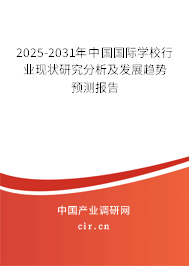 （最新）中國國際學(xué)校行業(yè)現(xiàn)狀研究分析及發(fā)展趨勢預(yù)測報告
