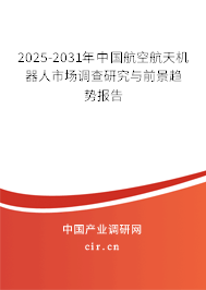 2025-2031年中國(guó)航空航天機(jī)器人市場(chǎng)調(diào)查研究與前景趨勢(shì)報(bào)告