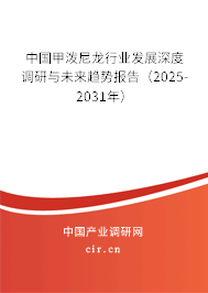 中國甲潑尼龍行業(yè)發(fā)展深度調(diào)研與未來趨勢報告（2025-2031年）