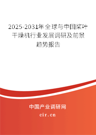 2025-2031年全球與中國槳葉干燥機行業(yè)發(fā)展調研及前景趨勢報告