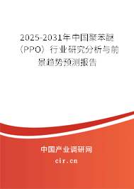 2025-2031年中國聚苯醚（PPO）行業(yè)研究分析與前景趨勢預(yù)測報告