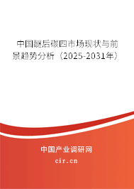 中國(guó)醚后碳四市場(chǎng)現(xiàn)狀與前景趨勢(shì)分析（2025-2031年）