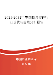 2025-2031年中國模具零件行業(yè)現(xiàn)狀與前景分析報告