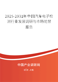 2025-2031年中國汽車電子檢測行業(yè)發(fā)展調(diào)研與市場前景報告