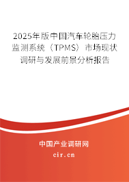 2025年版中國汽車輪胎壓力監(jiān)測系統(tǒng)（TPMS）市場現(xiàn)狀調(diào)研與發(fā)展前景分析報(bào)告