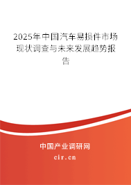 2025年中國汽車易損件市場現(xiàn)狀調(diào)查與未來發(fā)展趨勢報告