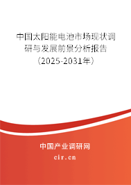 中國太陽能電池市場(chǎng)現(xiàn)狀調(diào)研與發(fā)展前景分析報(bào)告（2025-2031年）