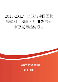 2025-2031年全球與中國團(tuán)狀模塑料（BMC）行業(yè)發(fā)展分析及前景趨勢報(bào)告