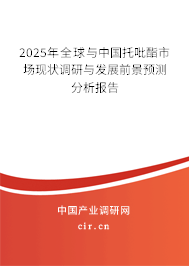 2025年全球與中國托吡酯市場現(xiàn)狀調(diào)研與發(fā)展前景預(yù)測分析報告