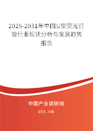 2025-2031年中國(guó)U型熒光燈管行業(yè)現(xiàn)狀分析與發(fā)展趨勢(shì)報(bào)告