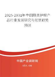2025-2031年中國鞋類護理產(chǎn)品行業(yè)發(fā)展研究與前景趨勢預測