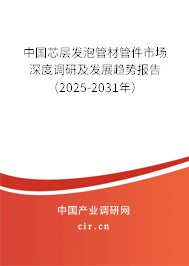 中國(guó)芯層發(fā)泡管材管件市場(chǎng)深度調(diào)研及發(fā)展趨勢(shì)報(bào)告（2025-2031年）
