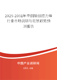 2025-2031年中國(guó)瑜伽拉力帶行業(yè)市場(chǎng)調(diào)研與前景趨勢(shì)預(yù)測(cè)報(bào)告