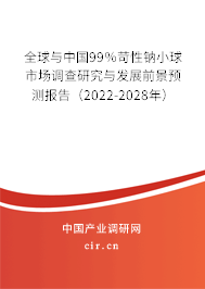 全球與中國99％苛性鈉小球市場調(diào)查研究與發(fā)展前景預(yù)測報告（2022-2028年）