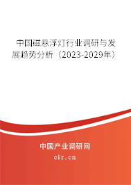 中國(guó)磁懸浮燈行業(yè)調(diào)研與發(fā)展趨勢(shì)分析（2023-2029年）