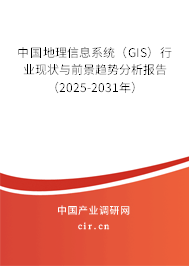 中國地理信息系統(tǒng)（GIS）行業(yè)現(xiàn)狀與前景趨勢分析報(bào)告（2025-2031年）