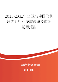 2025-2031年全球與中國飛機(jī)壓力計(jì)行業(yè)發(fā)展調(diào)研及市場前景報(bào)告