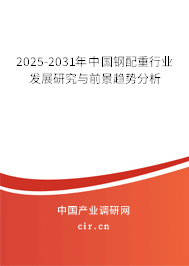 2025-2031年中國鋼配重行業(yè)發(fā)展研究與前景趨勢分析