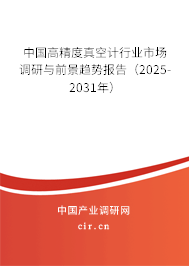 中國高精度真空計(jì)行業(yè)市場調(diào)研與前景趨勢報(bào)告（2025-2031年）