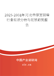 2025-2031年河北中厚寬鋼帶行業(yè)現(xiàn)狀分析與前景趨勢報告 2025-2031年河北中厚寬鋼帶行業(yè)現(xiàn)狀分析與前景趨勢報告
