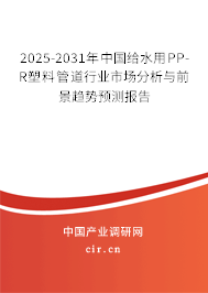 2025-2031年中國給水用PP-R塑料管道行業(yè)市場分析與前景趨勢預(yù)測報告