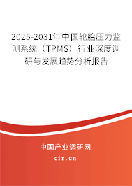 2025-2031年中國輪胎壓力監(jiān)測系統(tǒng)（TPMS）行業(yè)深度調(diào)研與發(fā)展趨勢分析報(bào)告