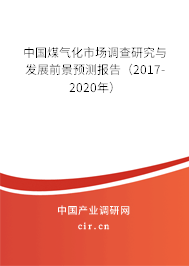 中國(guó)煤氣化市場(chǎng)調(diào)查研究與發(fā)展前景預(yù)測(cè)報(bào)告（2017-2020年）