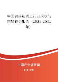 中國鈉基膨潤土行業(yè)現(xiàn)狀與前景趨勢報告（2025-2031年）